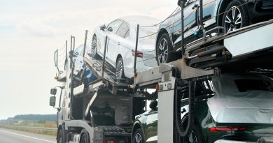 Czym są blachy LOHR?